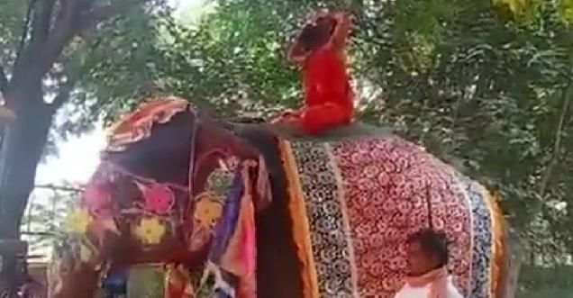 हाथी पर बैठकर योग सिखा रहे थे बाबा रामदेव तभी अचानक से गिर पड़े