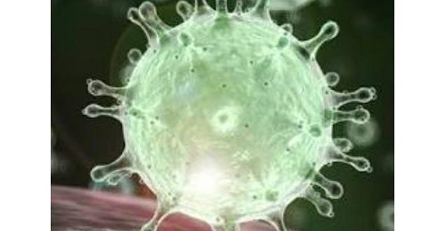 नोएडा तक पहुंचा खतरनाक कोरोना वायरस का असर